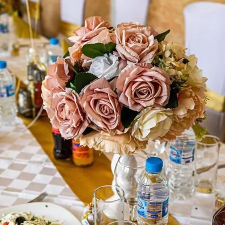 فندق Hotel Montana مونتانا